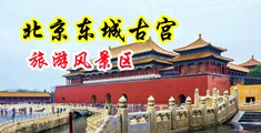 中国美女色情大屁股xxx中国北京-东城古宫旅游风景区